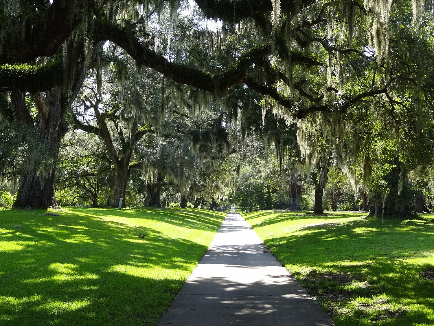 Brookgreen Gardens - Gallery - Buffalo Aerial Pictures